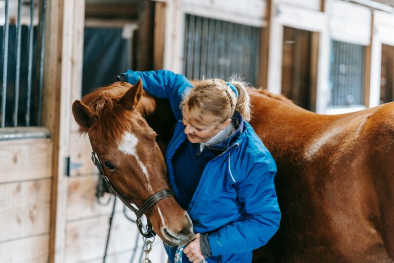 A woman lovingly embraces a horse in a rustic stable setting, showcasing equestrian care and bonding.