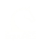 Capture_d_écran_2025-06-06_à_14.53.17-removebg-preview